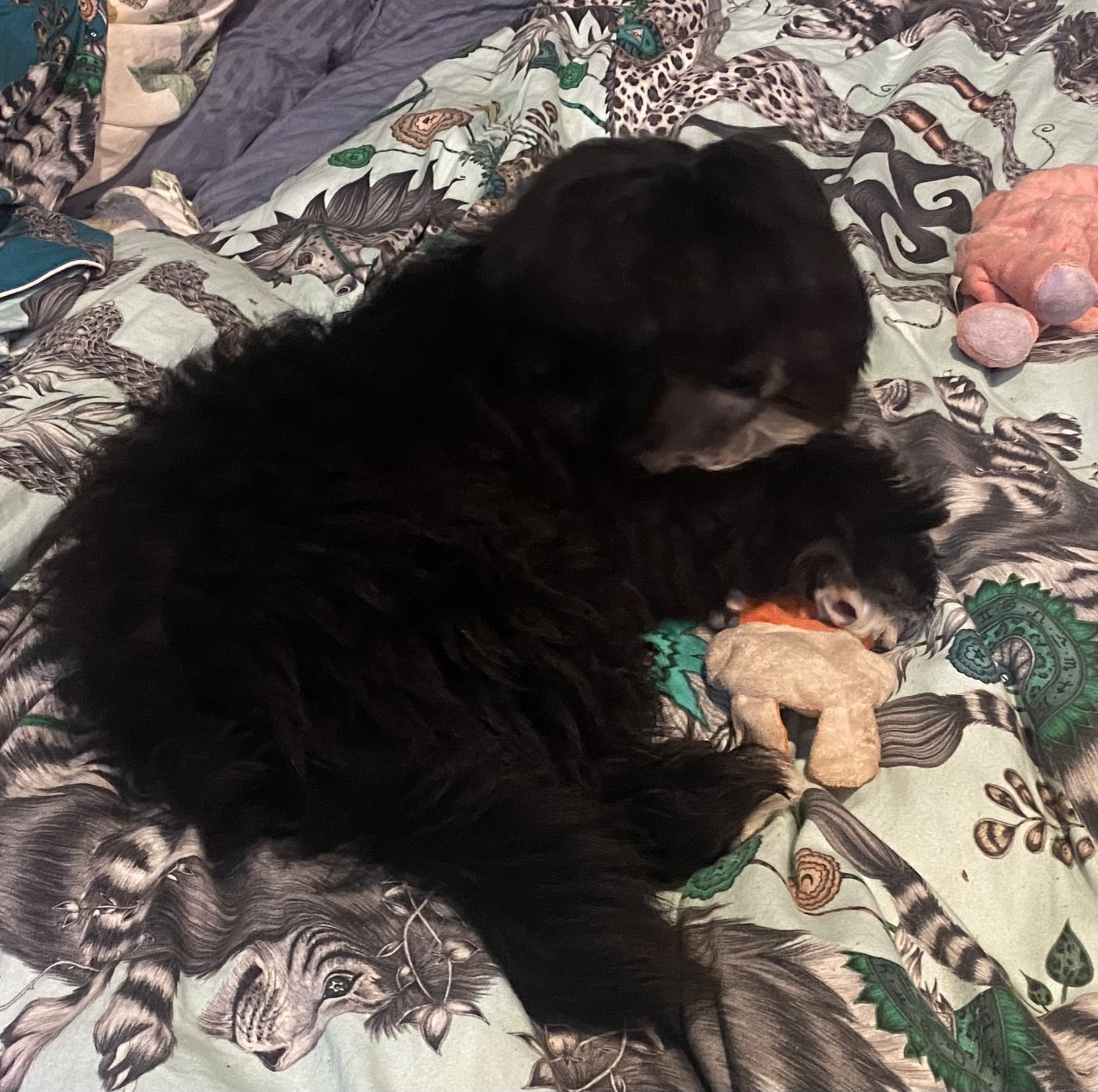Emmitt - Mommy's New Baby