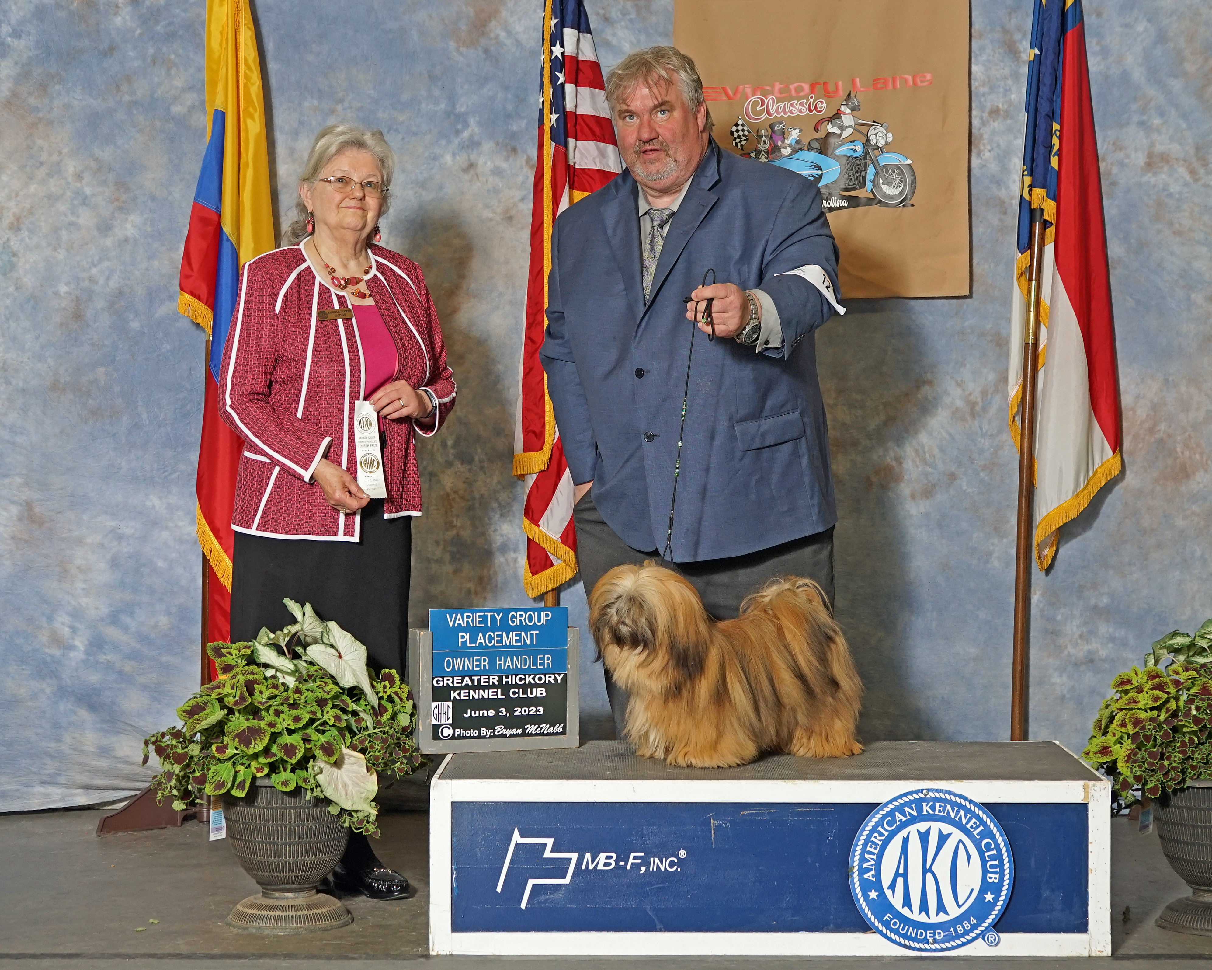 Layla AKC Champ