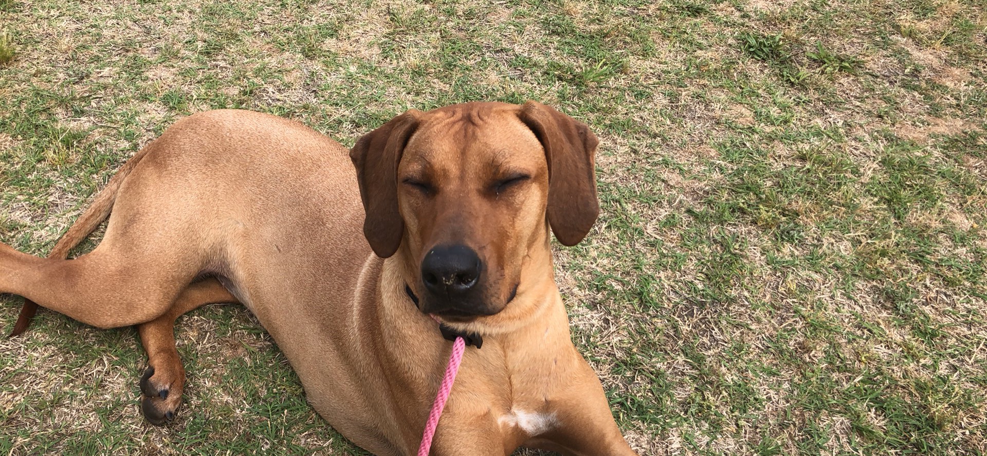 Lucy Chillin