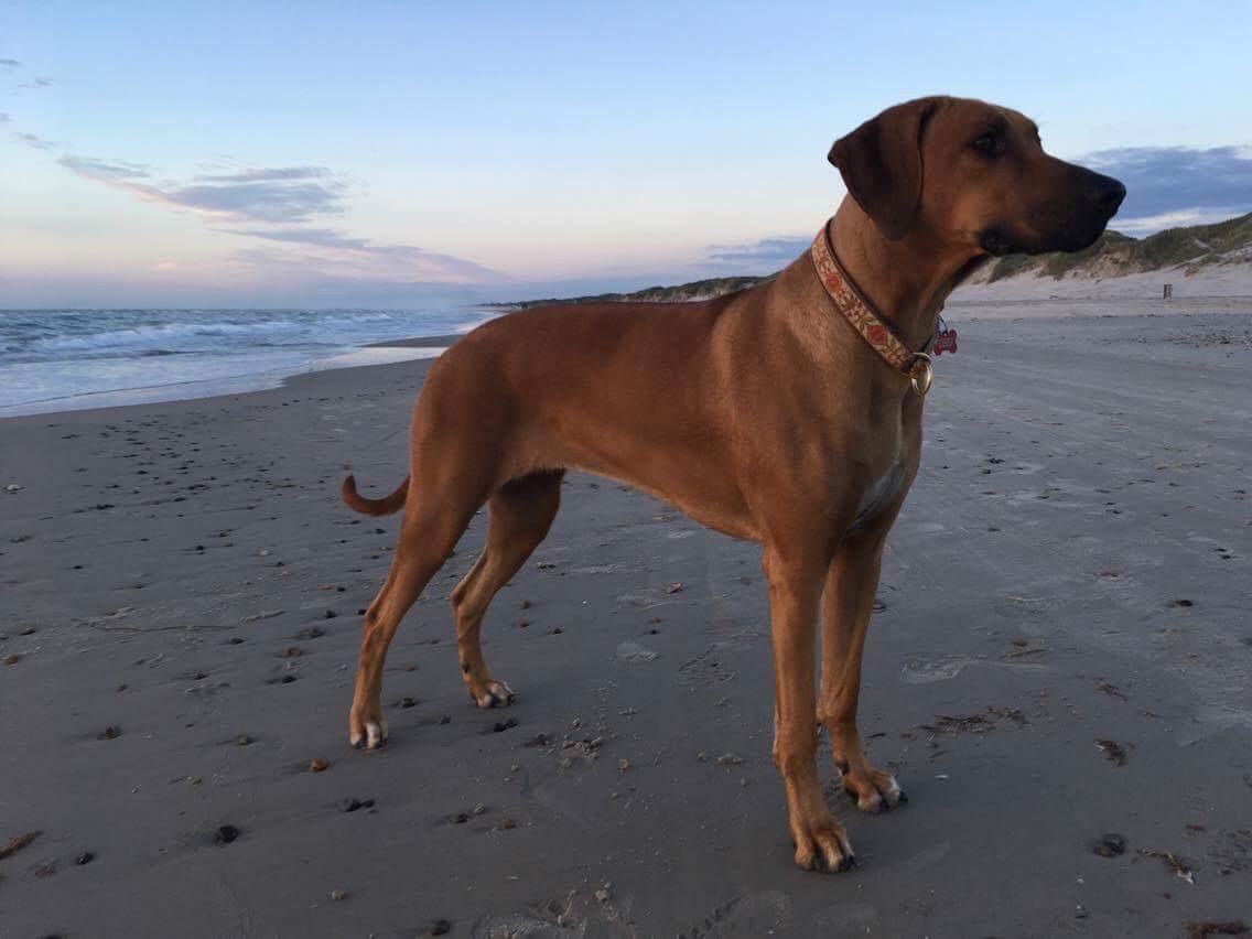 Dinga Beach